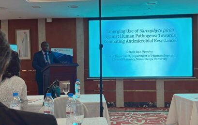 School of Pharmacy Don presents at an international conference